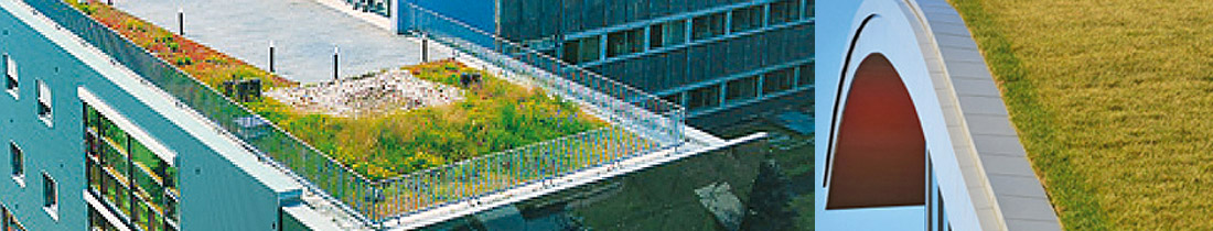 gruendach Flachdachsanierung Gründach